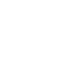 Project Cleaning