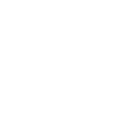 Complete restroom services including sanitizing toilets, sinks, urinals, stalls doors and walls