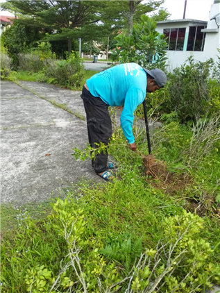 Garden Cleaning